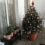 Tranquilla فيلة *