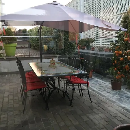 فيلة Tranquilla *