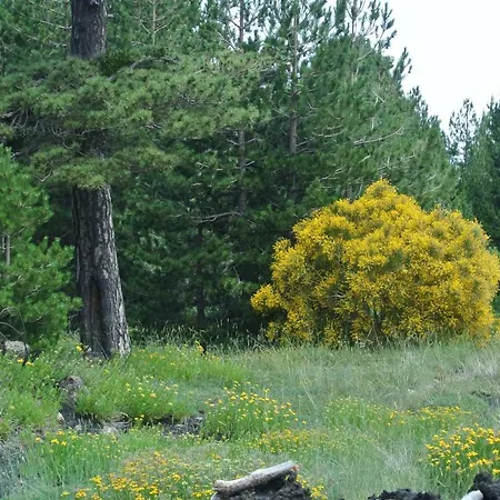 Tranquilla ريبوسْتو