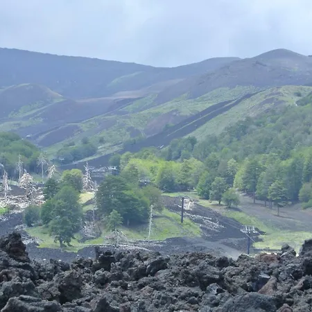 Tranquilla فيلة *