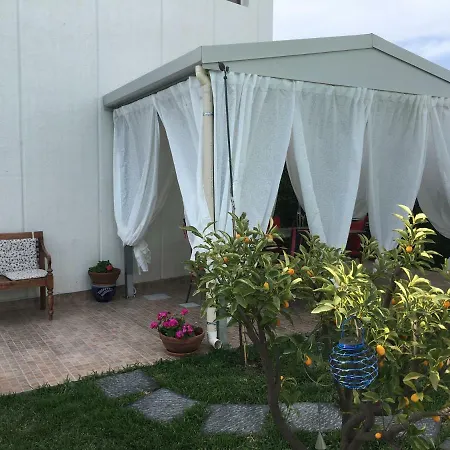 فيلة Tranquilla *