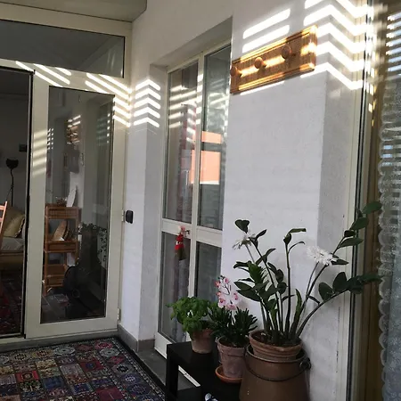 فيلة Tranquilla *